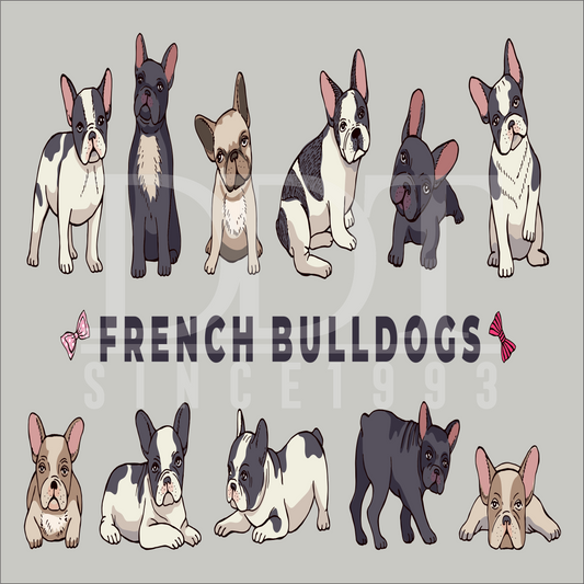 Animals - French Bulldogs - DTF Transfer