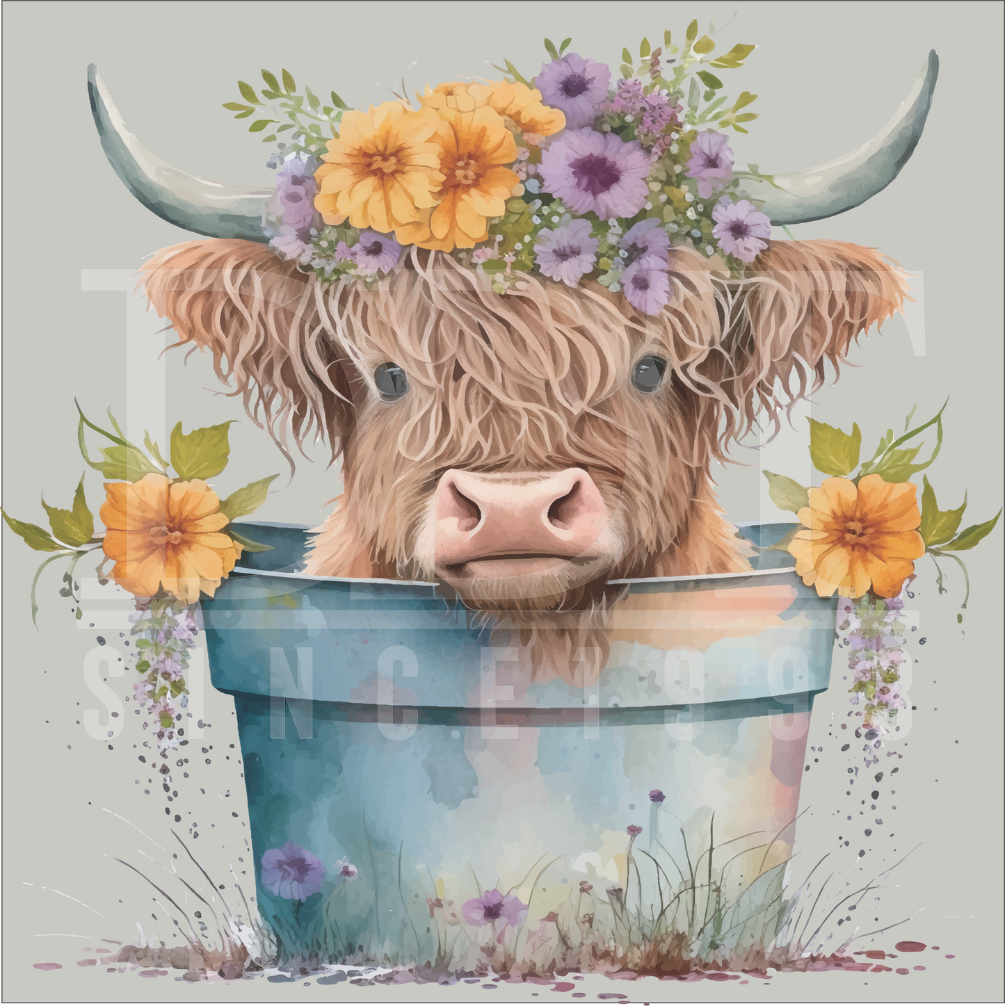 Animals - Highland Cow in Bucket - DTF Transfer