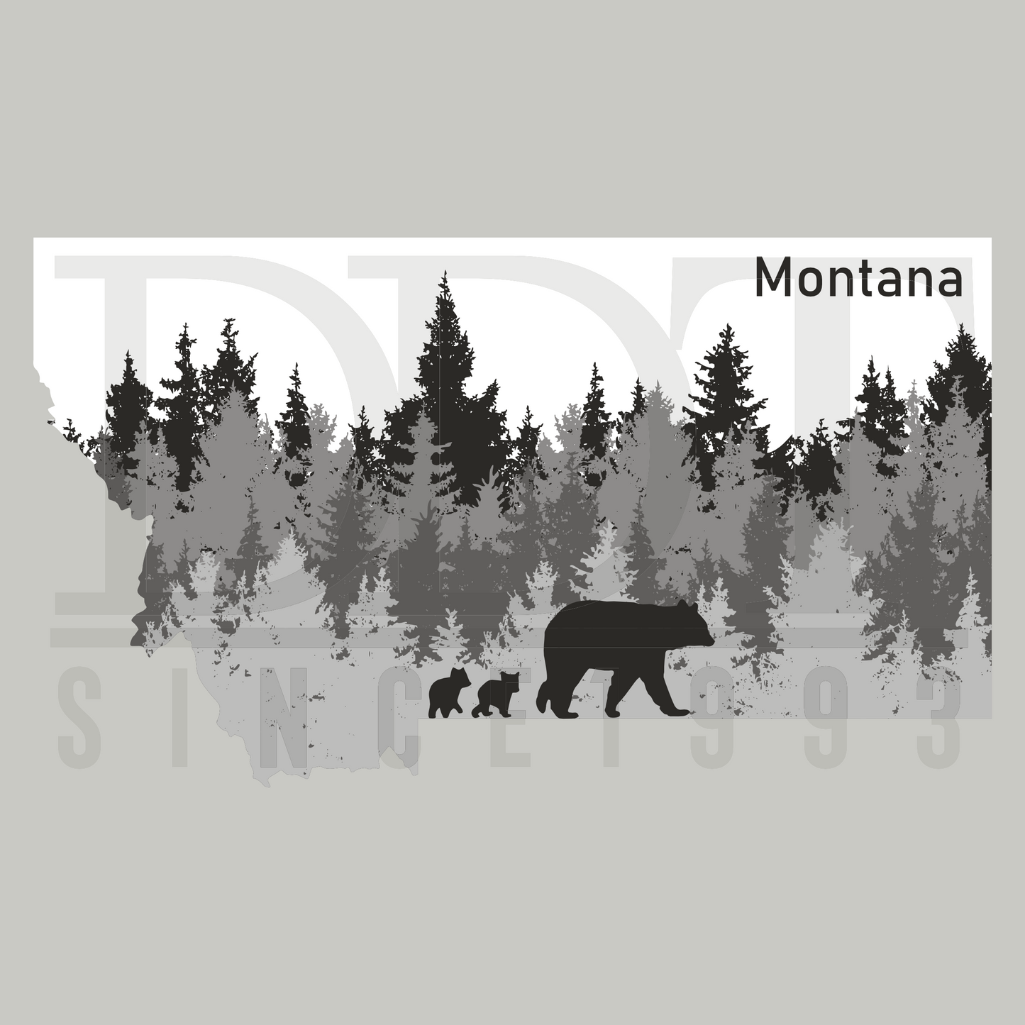 States-Montana bears-DTF Transfers