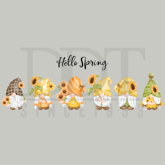 Seasons - Spring - Hello Spring Gnomes - DTF Transfer