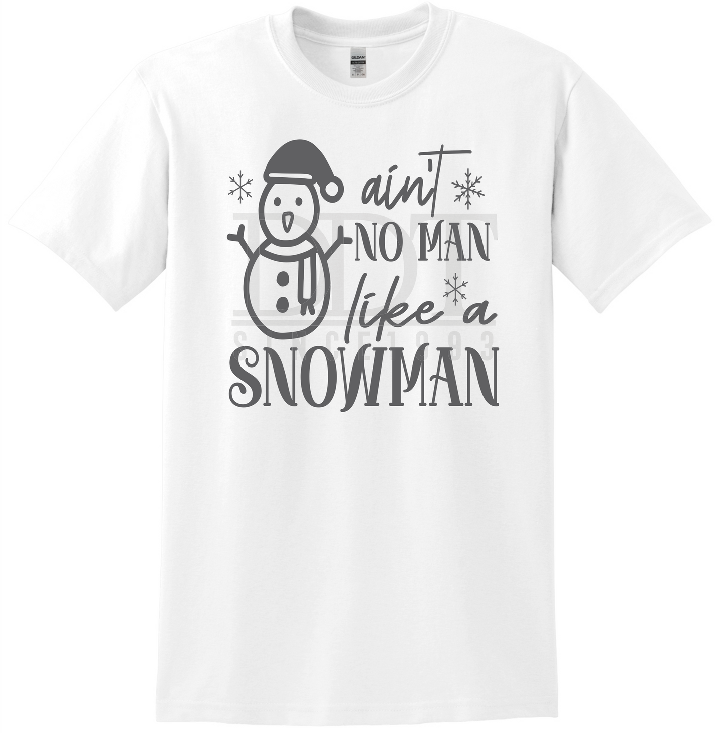 Seasons - Winter - Ain't No Man Like A Snowman - DTF Transfer