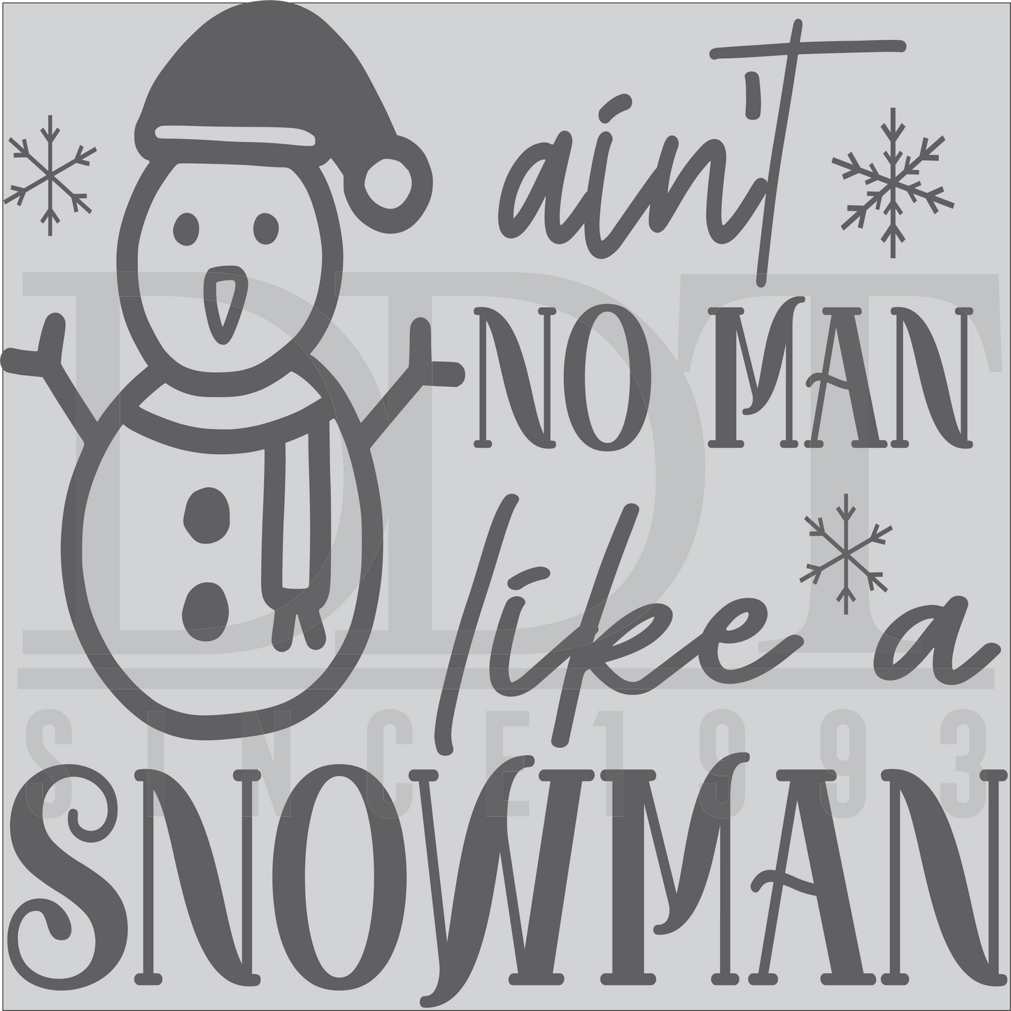 Seasons - Winter - Ain't No Man Like A Snowman - DTF Transfer